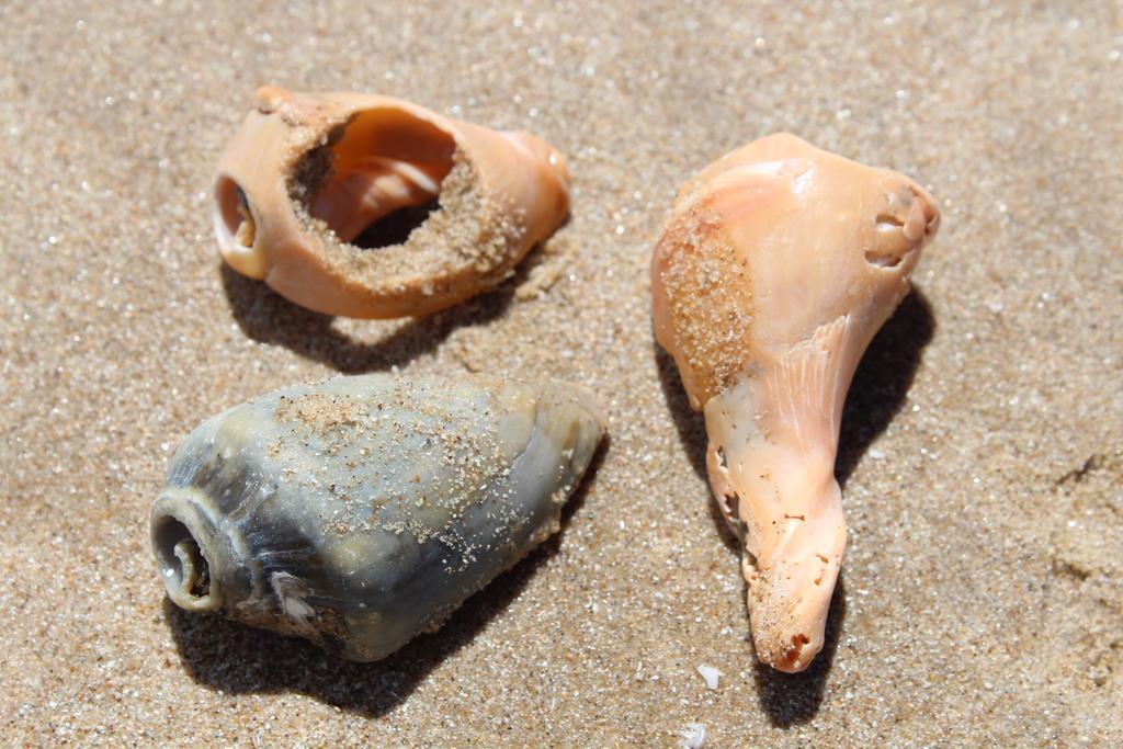 Miralejos Complejo De Apartamentos Punta Del Diablo Eksteriør billede